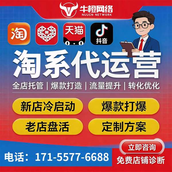 淄博电商代运营