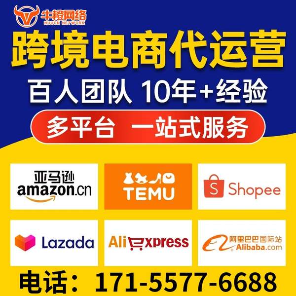 淄博电商代运营