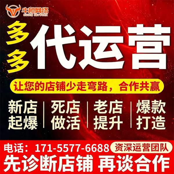 淄博电商代运营