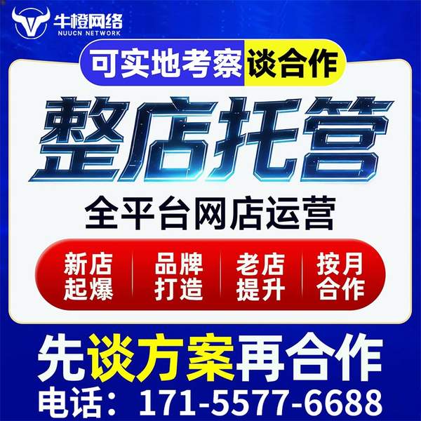 淄博电商代运营
