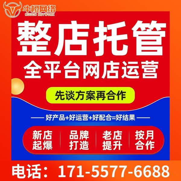 淄博电商代运营