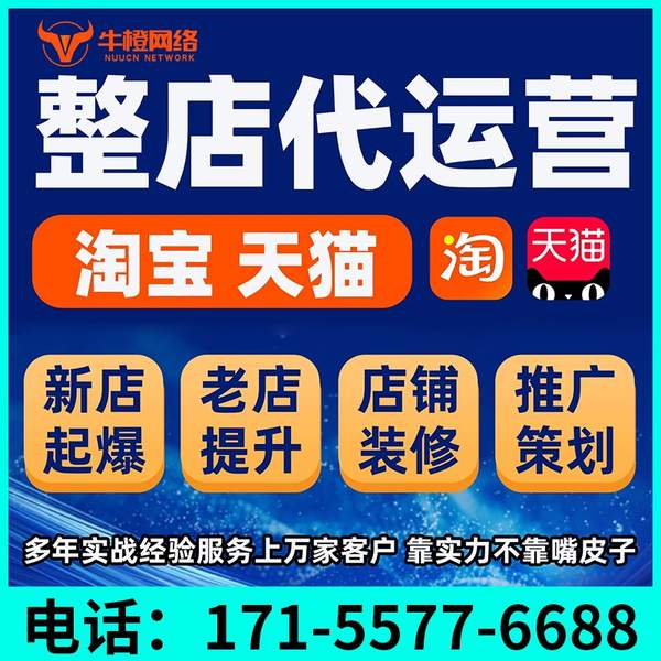 淄博电商代运营