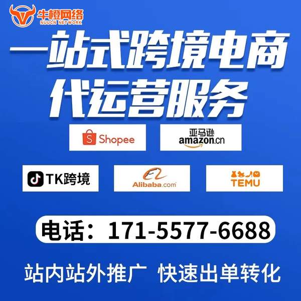 淄博电商代运营
