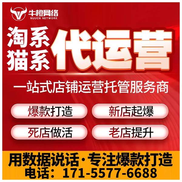 淄博电商代运营